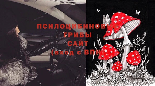 стафф Верхний Тагил